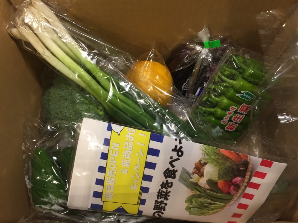 ふるさと納税 高知県奈半利町旬の野菜の詰め合わせ ２回目 が届きました